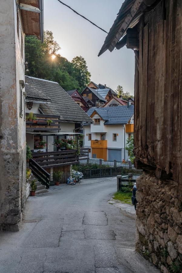 Holiday House Zupanc Bohinj Extérieur photo